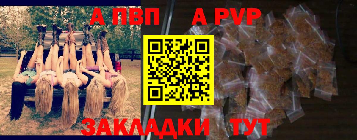 Alfa_PVP СК КРИС Назрань