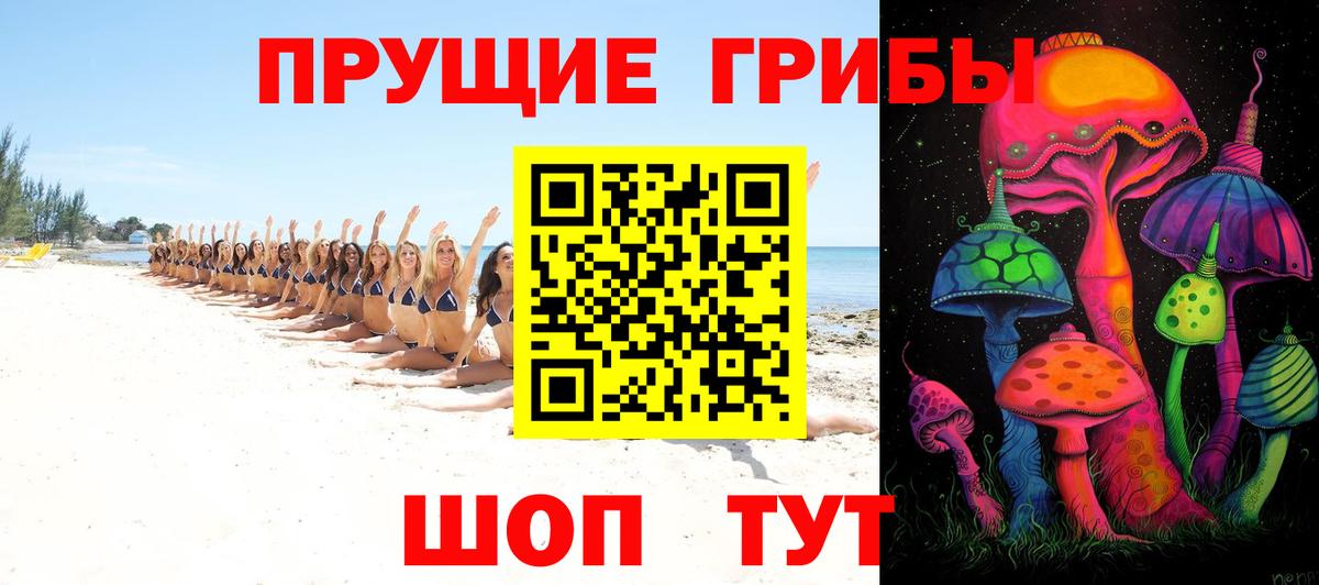 Псилоцибиновые грибы Psilocybine cubensis  Галлюциногенные грибы ЛСД  Назрань  Вход с VPN 